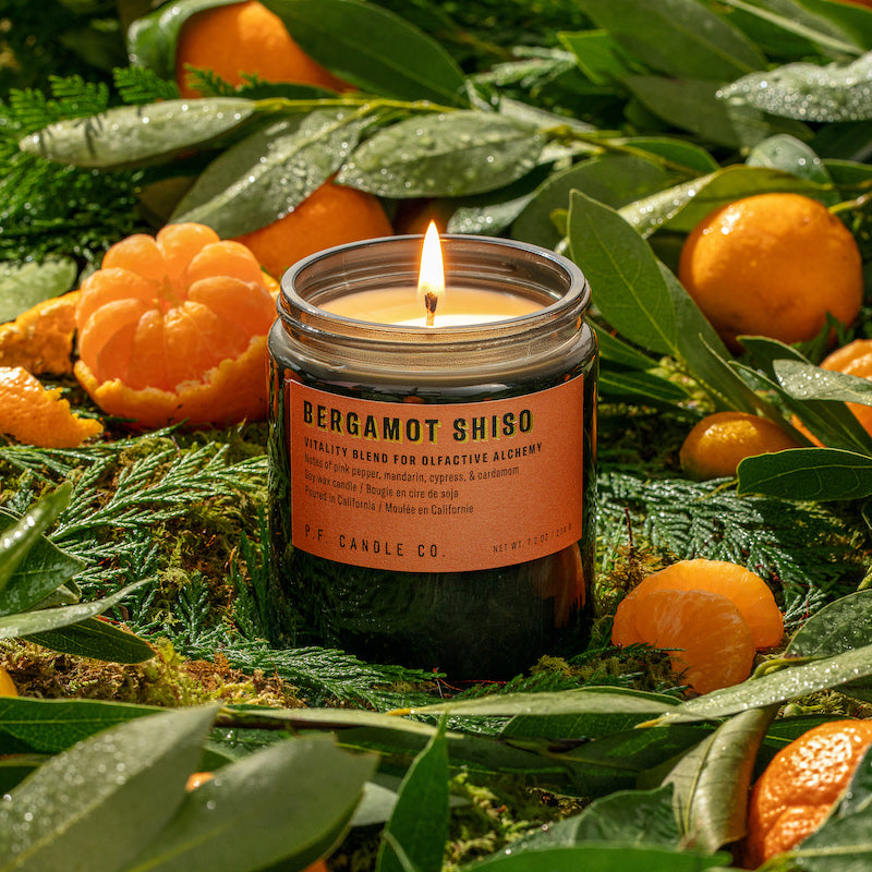 P.F. Candle Co. Wholesale Bergamot Shiso Alchemy Candle - Lifestyle - A vitality blend designed to stimulate uplifting energy, with notes of pink pepper, mandarin, cypress, and cardamom. Inspired by the exuberance of fruiting citrus trees, formulated with upcycled mandarin and cardamom.