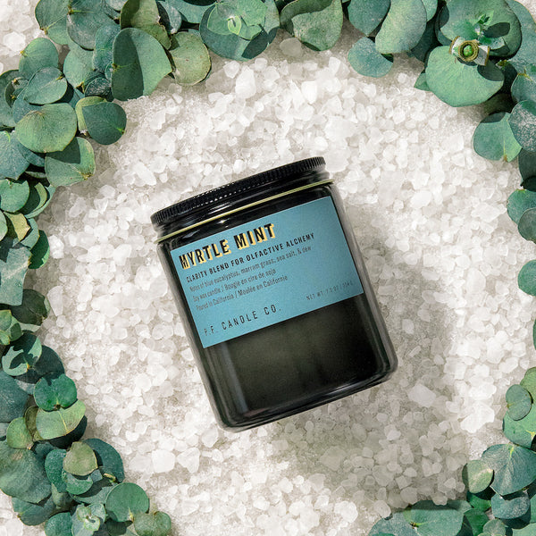P.F. Candle Co. Wholesale - Myrtle Mint 7.2 oz Alchemy Scented Soy Wax Candle - Lifestyle - A clarity blend to promote focus, with notes of blue eucalyptus, marram grass, sea salt, and dew. Inspired by the lucidity of an herb garden breeze, formulated with upcycled lemon and eucalyptus.