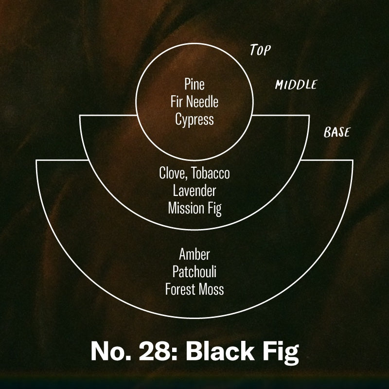 P.F. Candle Co. Wholesale  Black Fig - Scent Notes - Top: Pine, Fir Needle, Cypress; Middle: Clove, Tobacco, Lavender, Mission Fig; Base: Amber, Patchouli, Forest Moss
