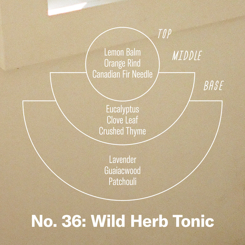 P.F. Candle Co. Wholesale Wild Herb Tonic - Scent Notes - Top: Lemon Balm, Orange Rind, Canadian Fir Needle; Middle: Eucalyptus, Clove Leaf, Crushed Thyme; Base: Lavender, Guaiacwood, Patchouli