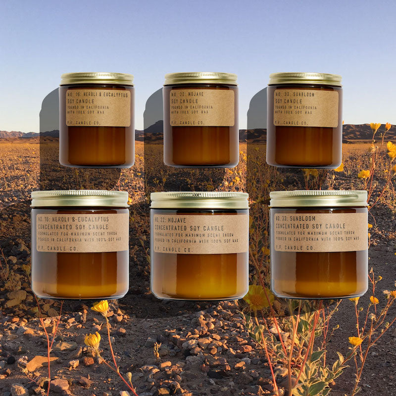 P.F. Candle Co. Wholesale Mojave Large Concentrated Candle - Scent Family - Three scents to brighten frigid winter interiors with notes evocative of California destinations and warm western getaways.