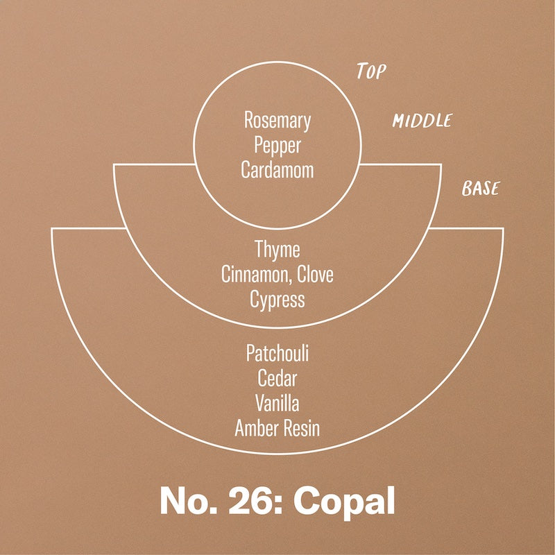 P.F. Candle Co. Wholesale Copal - Scent Notes - Top: Rosemary, Pepper, Cardamom; Middle: Thyme, Cinnamon, Clove, Cypress; Base: Patchouli, Cedar, Vanilla, Amber Resin