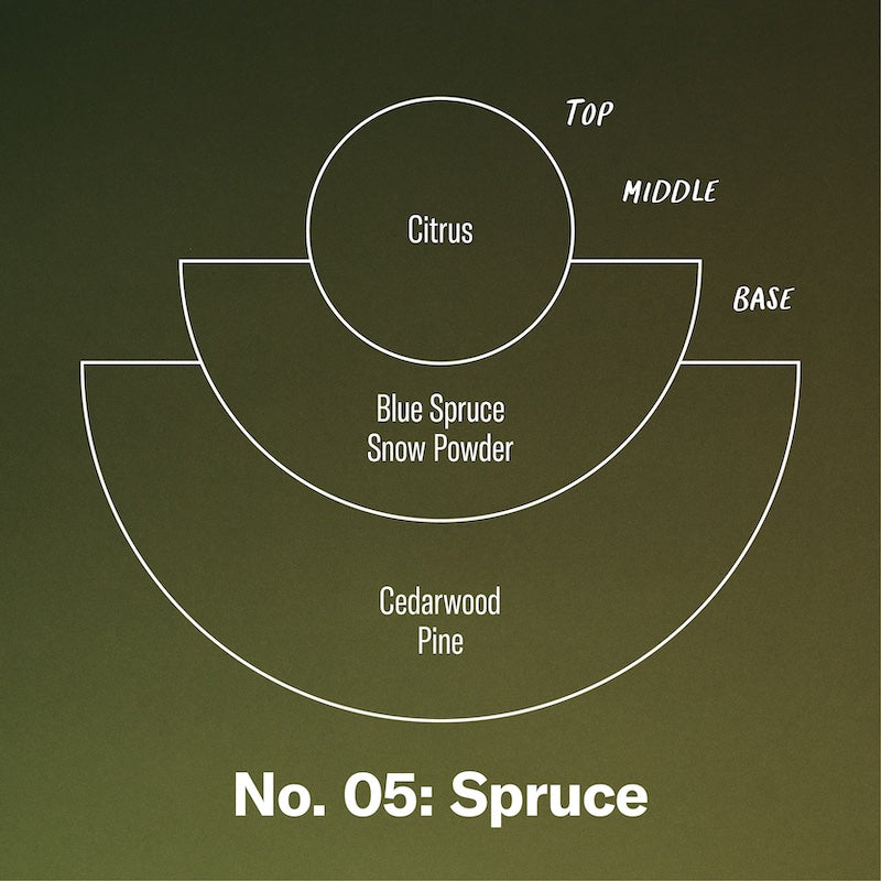 P.F. Candle Co. Wholesale Spruce - Scent Notes - Top: Citrus; Middle: Blue Spruce, Snow Powder; Base: Cedarwood, Pine